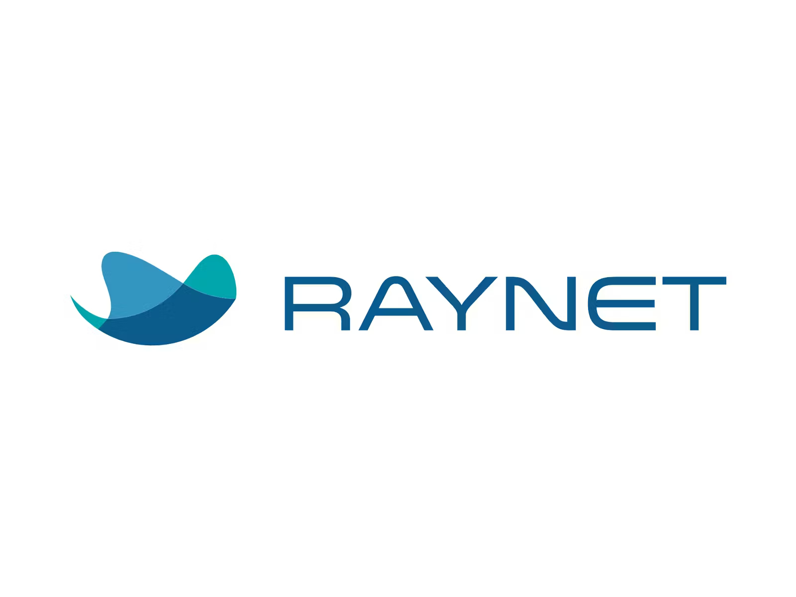 raynet crm software